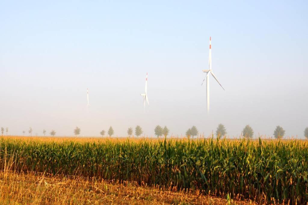 Ferienhaus Woddow Uckermark Zewnętrze zdjęcie